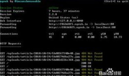 今日外网爆料视频最新,外网最新爆料视频曝光惊人内幕