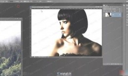 教材最新爆料视频,视频内容深度解析